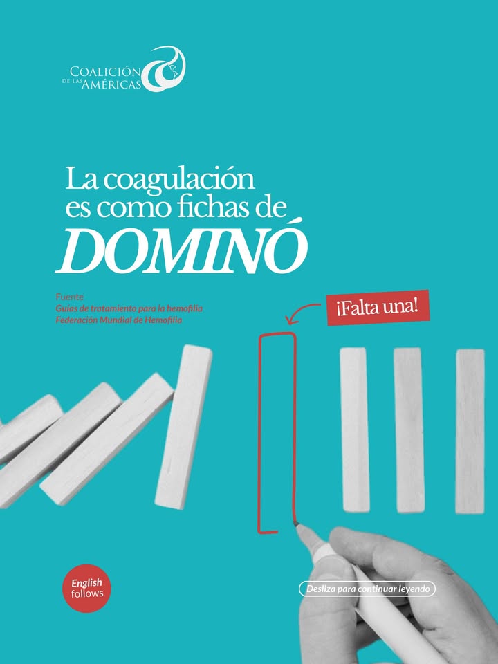 Coalición de las Américas